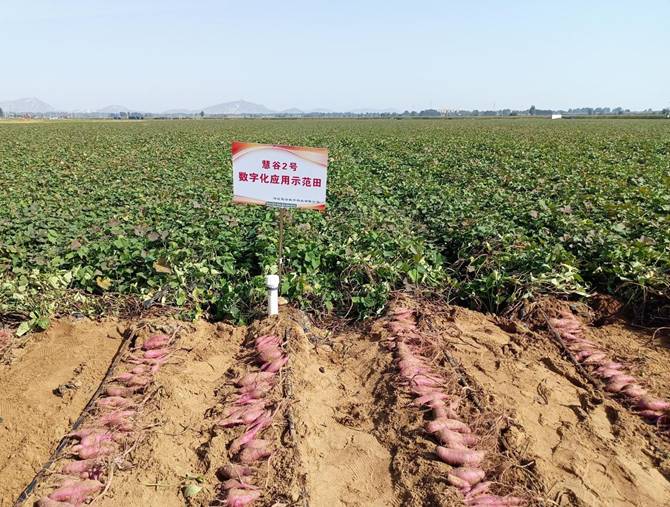 3118�ƶ����š�(�й���)�ٷ���վ