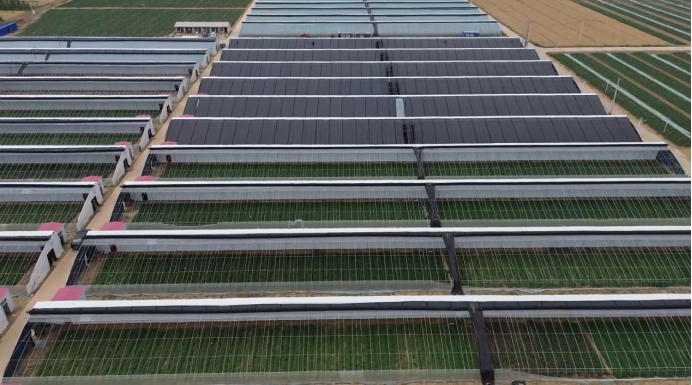 3118�ƶ����š�(�й���)�ٷ���վ