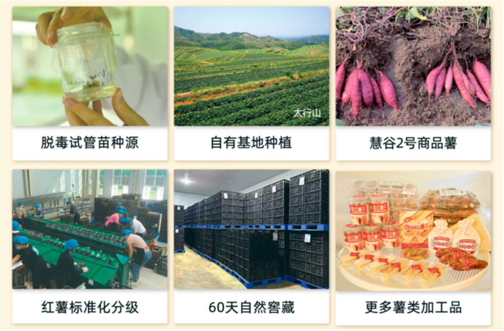 3118�ƶ����š�(�й���)�ٷ���վ