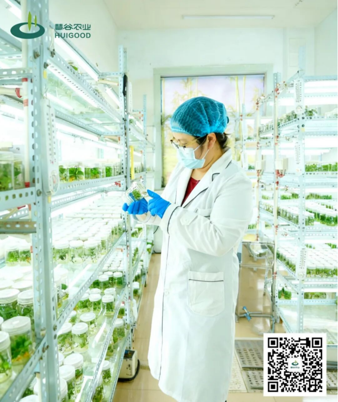 3118�ƶ����š�(�й���)�ٷ���վ