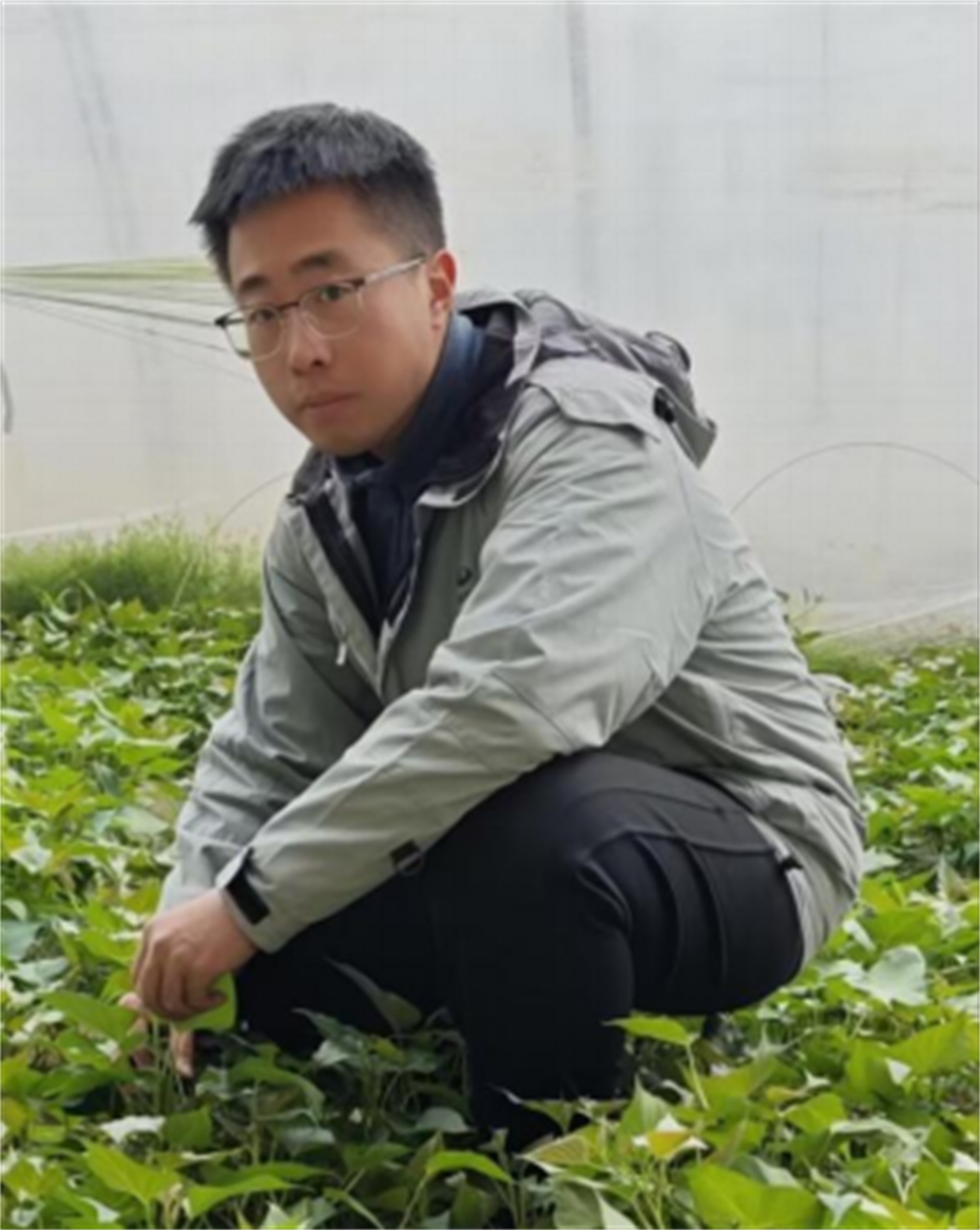 3118�ƶ����š�(�й���)�ٷ���վ