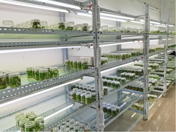 3118�ƶ����š�(�й���)�ٷ���վ