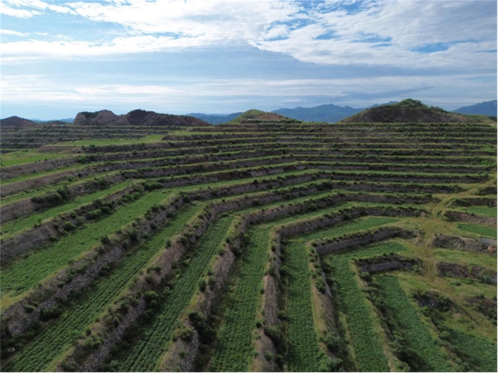 3118�ƶ����š�(�й���)�ٷ���վ