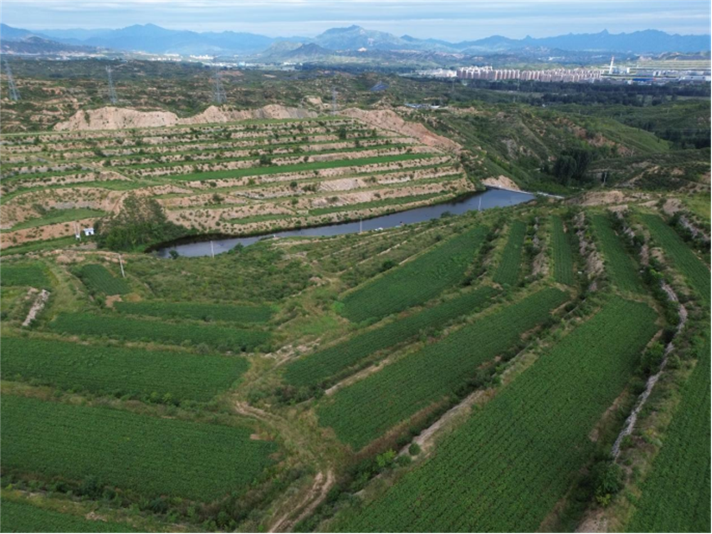 3118�ƶ����š�(�й���)�ٷ���վ