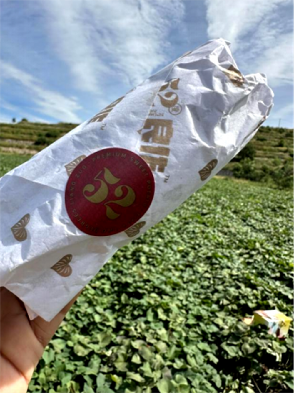 3118�ƶ����š�(�й���)�ٷ���վ