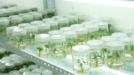 3118�ƶ����š�(�й���)�ٷ���վ