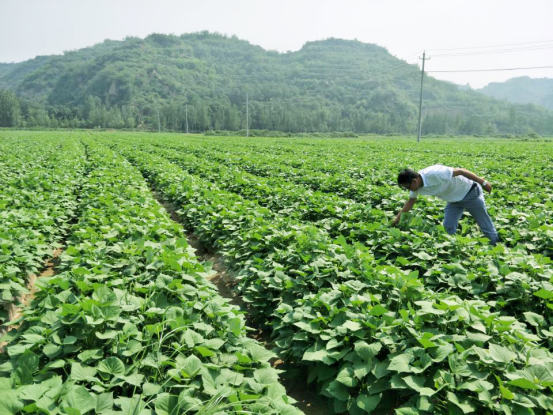 3118�ƶ����š�(�й���)�ٷ���վ