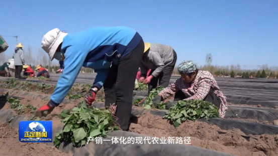 3118�ƶ����š�(�й���)�ٷ���վ