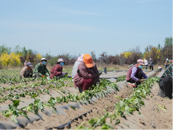 3118�ƶ����š�(�й���)�ٷ���վ