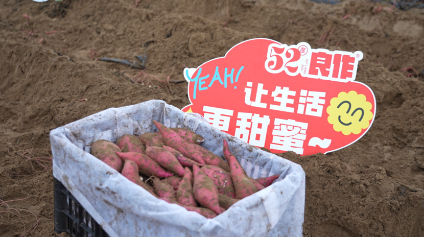 3118�ƶ����š�(�й���)�ٷ���վ