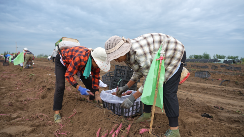 3118�ƶ����š�(�й���)�ٷ���վ