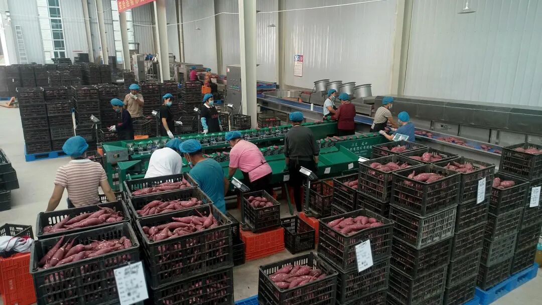 3118�ƶ����š�(�й���)�ٷ���վ