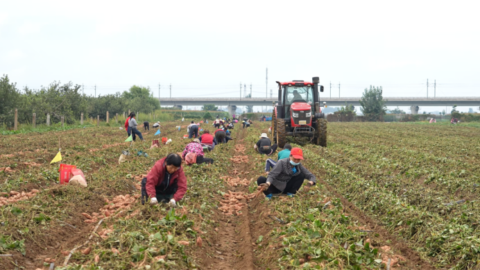 3118�ƶ����š�(�й���)�ٷ���վ