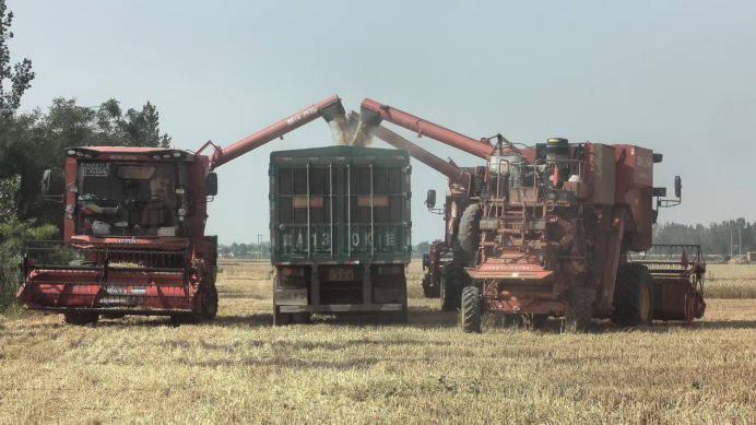 3118�ƶ����š�(�й���)�ٷ���վ