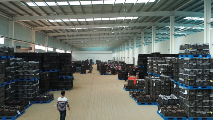 3118�ƶ����š�(�й���)�ٷ���վ