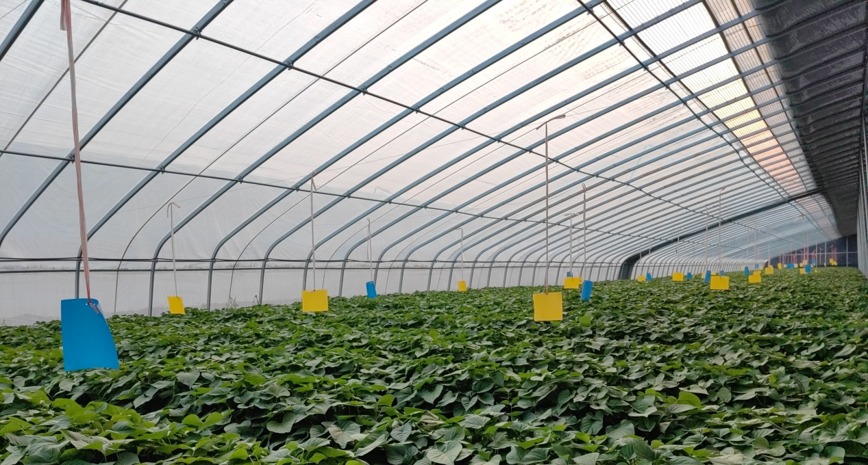 3118�ƶ����š�(�й���)�ٷ���վ