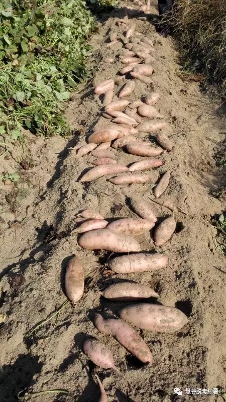 3118�ƶ����š�(�й���)�ٷ���վ