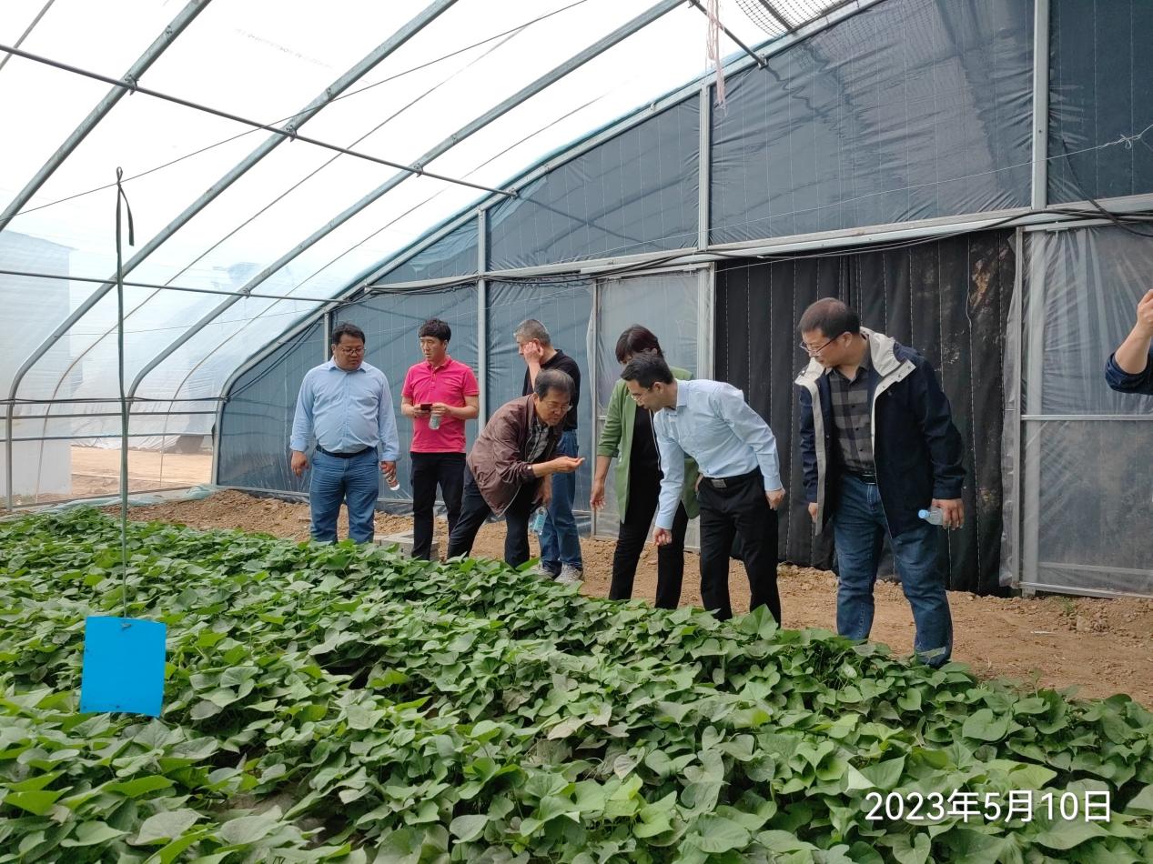 3118�ƶ����š�(�й���)�ٷ���վ